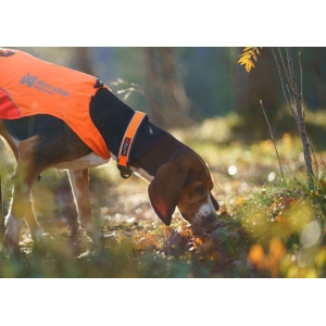 Non-Stop Protector Collar